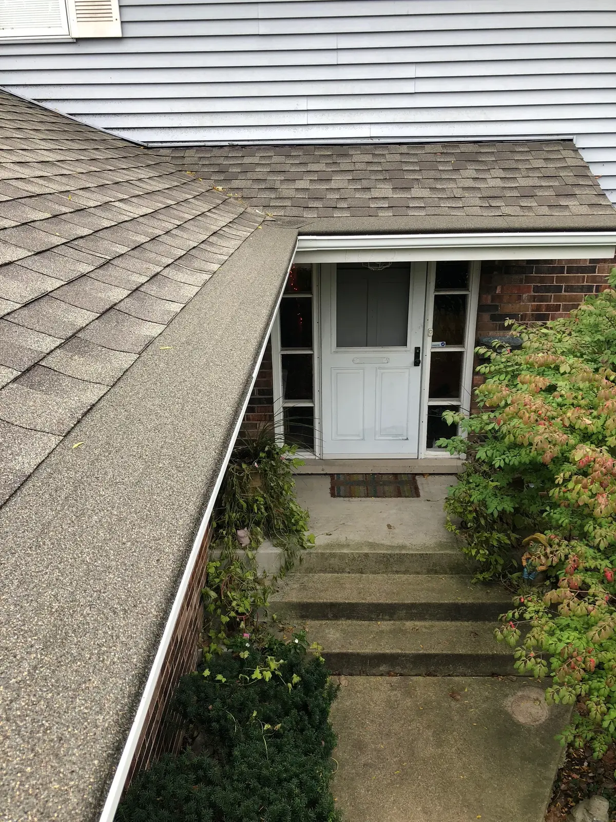 Turtle Shell Gutter Protection